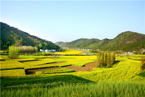2021年中央一号文件关于农村土地承包政策-摄图网
